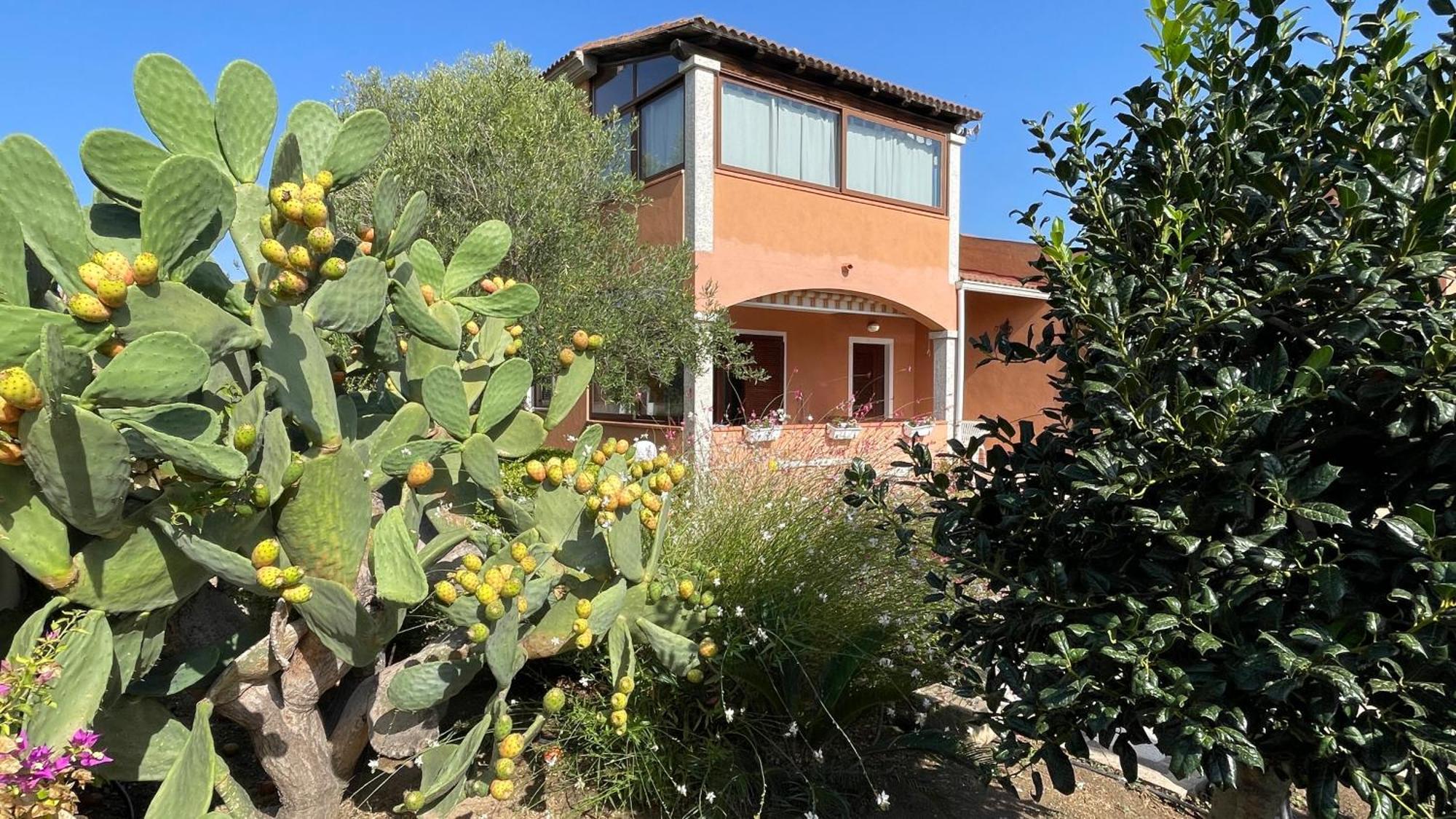 Sardegna - Villa Mirto & Flowers Ольбия Экстерьер фото