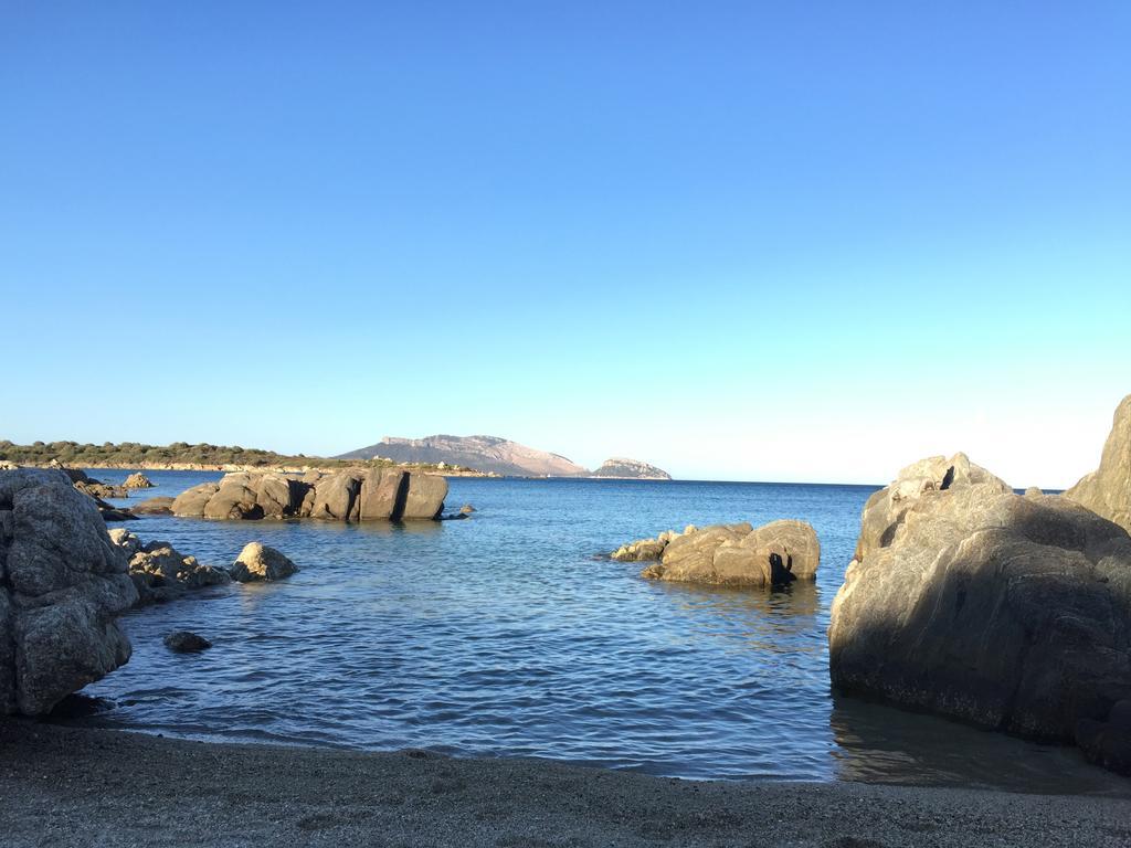 Sardegna - Villa Mirto & Flowers Ольбия Экстерьер фото