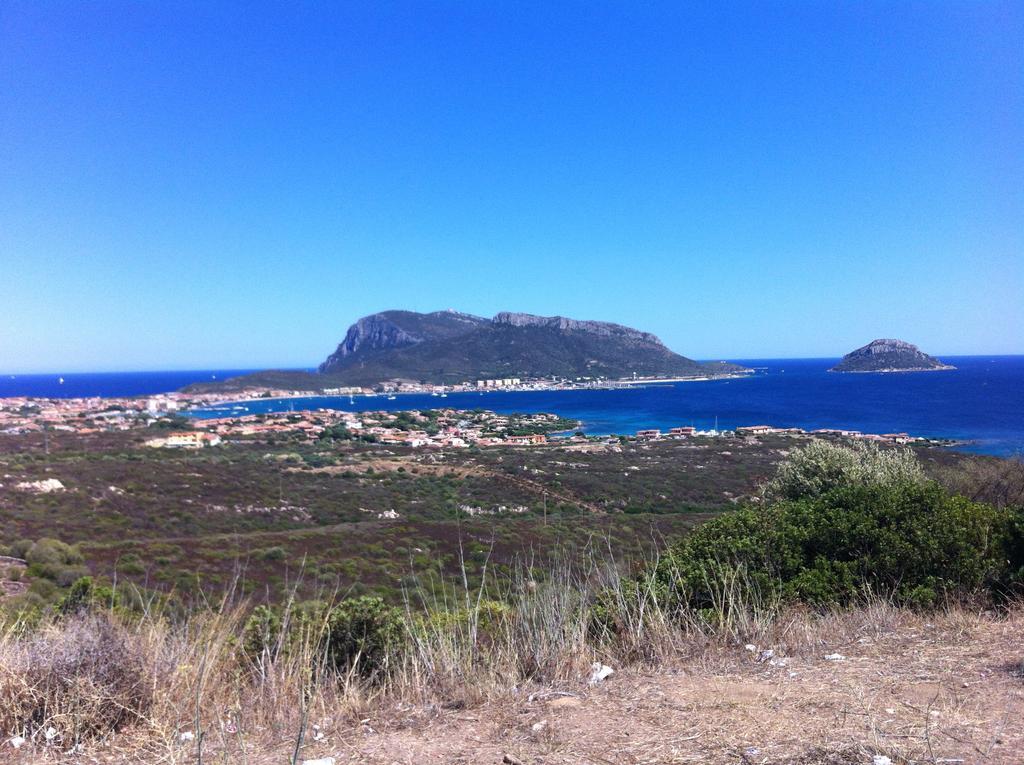 Sardegna - Villa Mirto & Flowers Ольбия Экстерьер фото